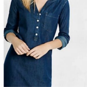 Express Denim Dress